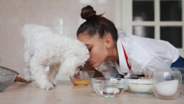 Seorang Wanita Muda Tersenyum Berbisik Telur Dapur Dengan Anjing Maltese — Stok Video