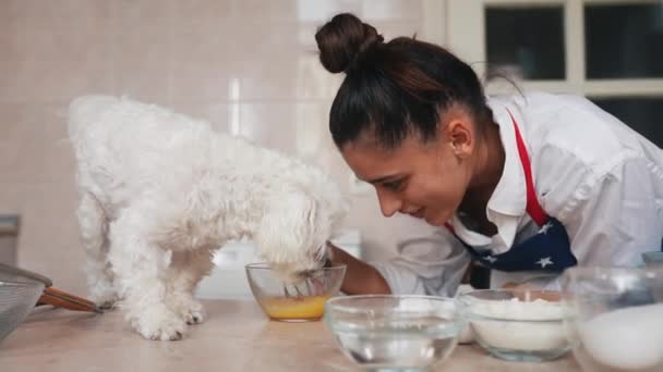 可愛いですホワイトマルチ犬とキッチンで卵をささやく笑顔若い女性 — ストック動画