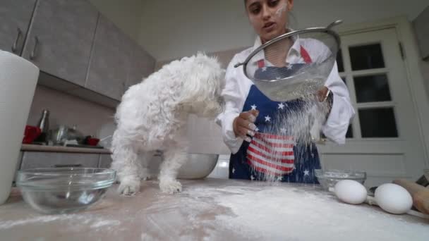 台所の若い女性は犬と一緒に小麦粉をふるいます — ストック動画