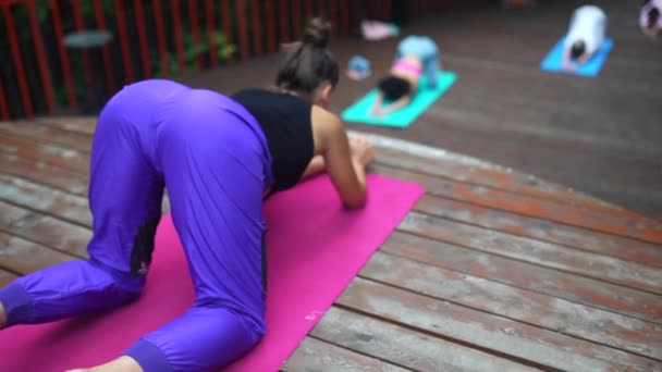 Bir Grup Genç Sporcu Eğitmenle Yoga Dersleri Alıyor Lotus Pozu — Stok video