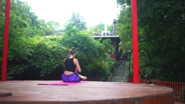 Bir Grup Genç Sporcu Eğitmenle Yoga Dersleri Alıyor Lotus Pozu — Stok video