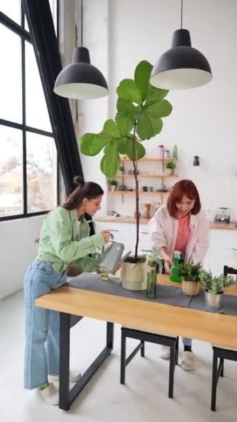Zwei Frauen Kümmern Sich Das Gießen Und Besprühen Von Zimmerpflanzen — Stockvideo