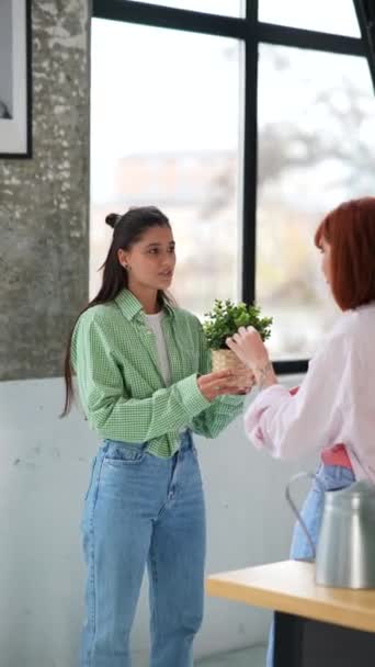 两个女人手里拿着一株家庭植物 一边说着话 — 图库视频影像