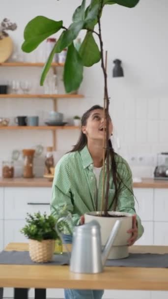 Beautiful Woman Carries Houseplant Kitchen — Stock Video