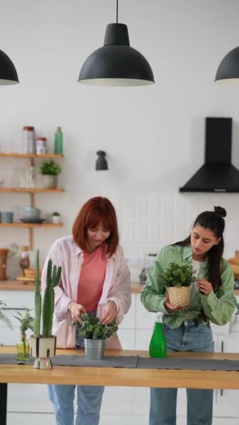 Δύο Γυναίκες Φροντίζουν Φυτά Στην Κουζίνα — Αρχείο Βίντεο