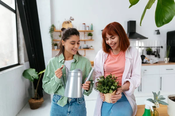 Jeunes Femmes Avec Arrosoir Une Plante Intérieur Dans Pot — Photo