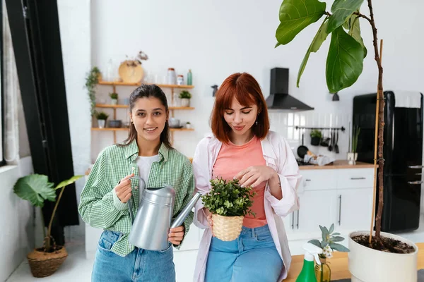 Jeunes Femmes Avec Arrosoir Une Plante Intérieur Dans Pot — Photo