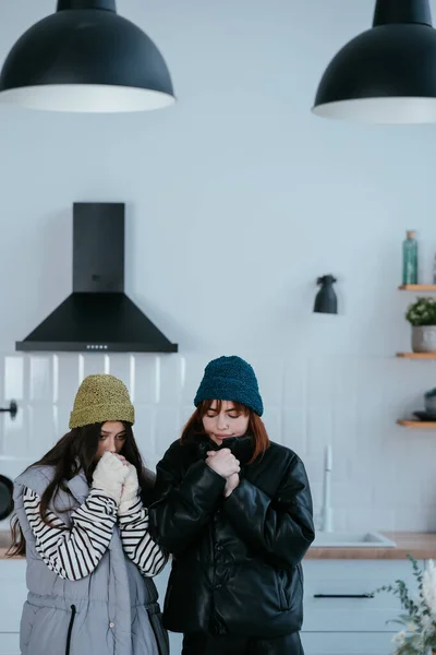 Тепло Одетые Женщины Расстроены Выключенным Отоплением Чувствуя Холод Дома — стоковое фото