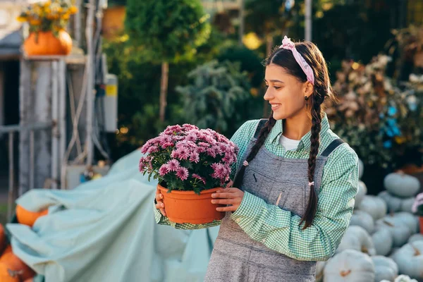 Wanita Menarik Memegang Bunga Dekoratif Pot Bunga Pasar Konsep Taman — Stok Foto