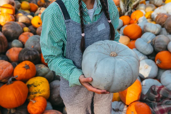 Vendedora Feminina Mostrando Colheita Outono Câmera Conceito Agricultura — Fotografia de Stock