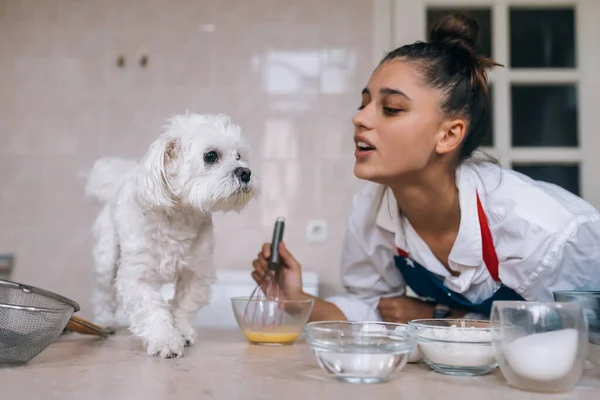 Jovem Mulher Cozinha Bonito Cão Maltês Branco Mesa — Fotografia de Stock