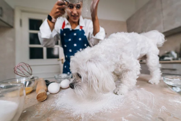 Young Woman Kitchen Sifts Flour Together Dog — Stock Photo, Image