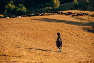 Çimlerde dişi çoban ve koyun sürüsü
