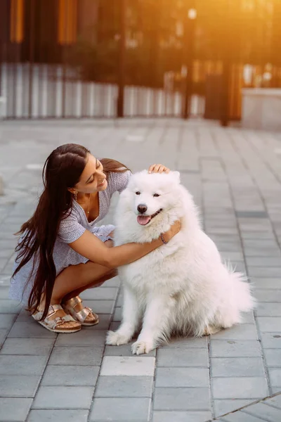 A young woman hugs a big dog at sunset in summer