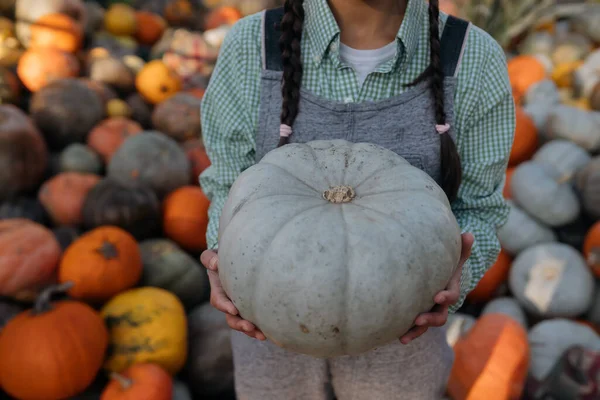 Vendedora Feminina Mostrando Colheita Outono Câmera Conceito Agricultura — Fotografia de Stock