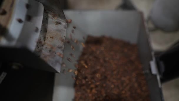 さらに小売販売のためのコーヒー工場で袋にコーヒー豆を梱包するためのコンベア 技術的プロセス — ストック動画