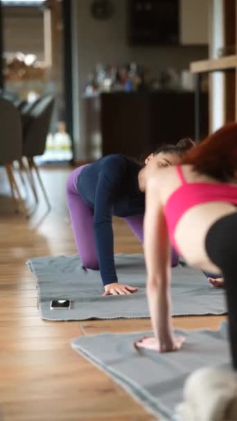 Dos Hermosas Chicas Están Haciendo Ejercicios Yoga Casa Estirando Cuerpos — Vídeos de Stock