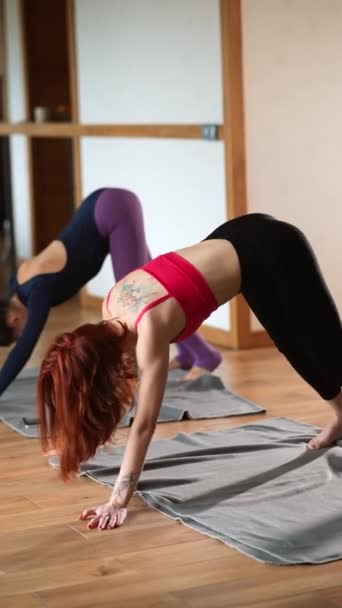 Две Красивые Девушки Делают Упражнения Йоги Дома Растяжения Тела Сосредоточены — стоковое видео