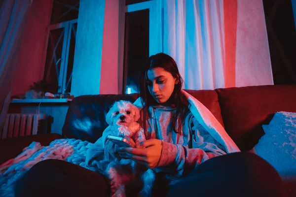 Evdeki Karanlık Bir Odada Elinde Akıllı Telefonuyla Köpeğiyle Oynayan Monitörün — Stok fotoğraf