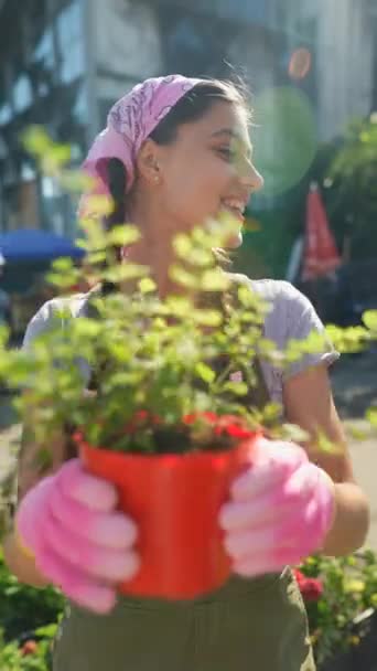 Молода Жінка Фермер Ринку Фермерів Готується Продати Продукт Високоякісні Кадри — стокове відео