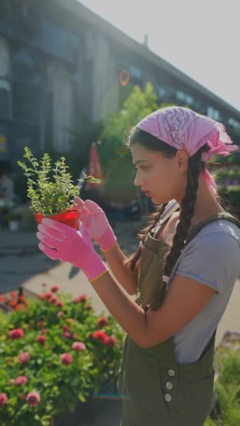 Petani Wanita Muda Pasar Tanaman Bersiap Untuk Menjual Produk Tersebut — Stok Video