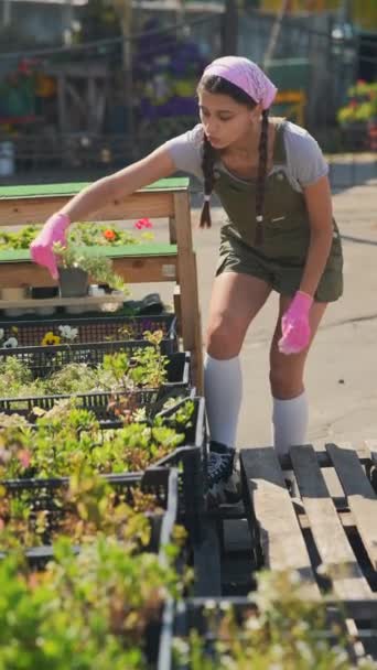 Νεαρή Αγρότισσα Στην Αγορά Των Φυτών Των Αγροτών Ετοιμάζεται Πουλήσει — Αρχείο Βίντεο