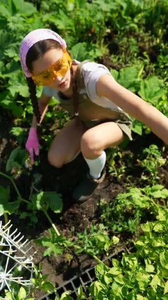 年轻的女农场主头戴橡胶手套 坐在植物床旁边 在自家花园种树的情景 — 图库视频影像