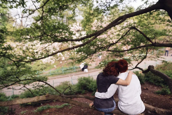 年轻夫妇爱坐着 拥抱在一起欣赏公园的景色 高质量的照片 — 图库照片