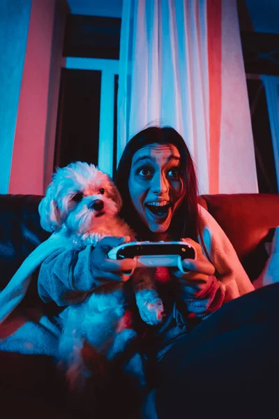 彼女の犬と遊んで モニターやテレビの前に座っているゲームコントローラーと暗い部屋の自宅でゲーマーやストリーマーの女の子 高品質の写真 — ストック写真