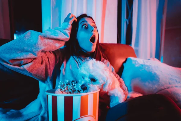 ⬇ Скачать Картинки Film Netflix, Стоковые Фото Film Netflix В.