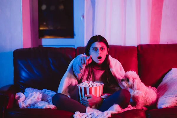 彼女の犬と遊んで モニターやテレビを見て映画の前に座っているポップコーンのバケツと暗い部屋の自宅で美しい若い女の子 高品質の写真 — ストック写真
