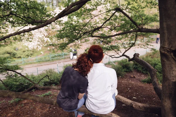 年轻夫妇爱坐着 拥抱在一起欣赏公园的景色 高质量的照片 — 图库照片