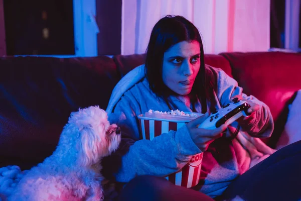 Evde Oyun Kumandası Köpeğiyle Oynayan Monitör Televizyonun Önünde Oturan Bir — Stok fotoğraf
