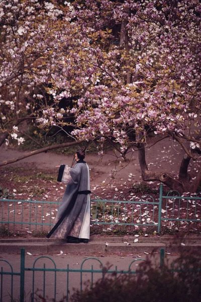 Красивая Драматическая Молодая Женщина Кимоно Цветущей Вишней Видом Сакуру Высокое — стоковое фото