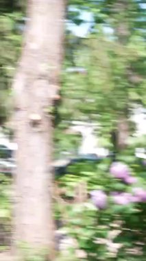 The beautiful hippie girl cheerfully runs into the trailer on a sunny summer day. High quality 4k footage