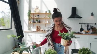 Genç, güzel bir kız dairesinde vazoları suluyor. Yüksek kalite 4k görüntü