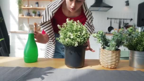 Een Jong Mooi Meisje Verpot Planten Haar Appartement Hoge Kwaliteit — Stockvideo
