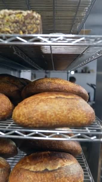 Bakkerij Vindt Verschillende Soorten Recent Gebakken Ambachtelijk Brood Hoge Kwaliteit — Stockvideo