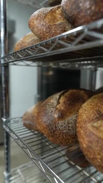 Bakerys Shelves Stocked Freshly Made Artisan Bread High Quality Fullhd — Stock Video
