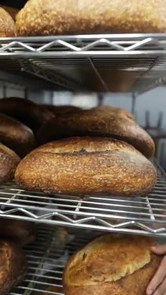 パン屋の棚に焼き上げた職人のパンが閉じ込められています 高品質のフルHd映像 — ストック動画
