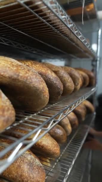 Panadería Artesanal Exhibe Pan Recién Horneado Los Estantes Imágenes Fullhd — Vídeos de Stock