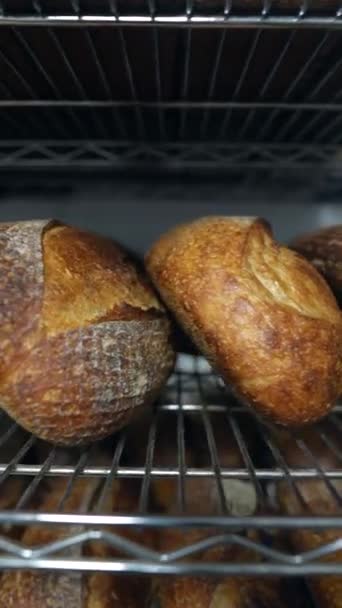 Různé Druhy Čerstvě Upečeného Řemeslného Chleba Lze Nalézt Regálech Pekařství — Stock video