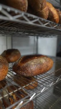 Fırın raflarında farklı türde taze pişmiş zanaatkar ekmeği bulunabilir. Yüksek kaliteli FullHD görüntüler