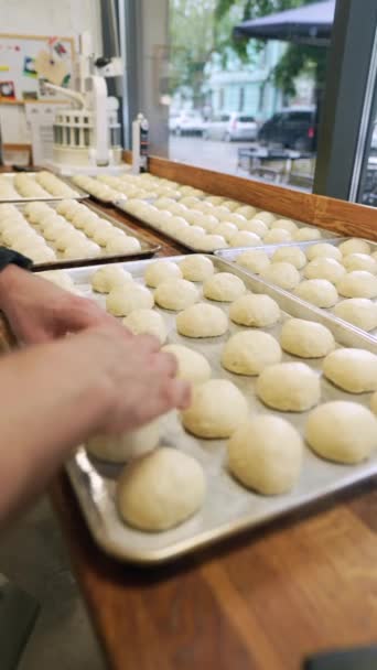 Masa Panaderías Artesanales Para Rollos Hamburguesa Imágenes Alta Calidad — Vídeos de Stock