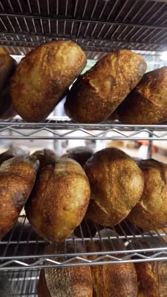 Bakery Shelves You Can Find Freshly Baked Artisan Bread High — Stock Video