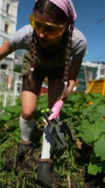 Lastik eldiven takan, bitki yatağının yanında oturan ve bahçesine bitki eken genç kadın çiftçiyi yakından çek..