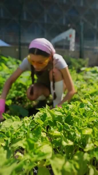 Primer Plano Joven Agricultora Con Guantes Goma Sentada Cerca Cama — Vídeo de stock