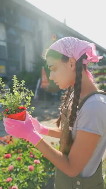 Çiftçi Pazarındaki Genç Kadın Çiftçi Ürünü Satmaya Hazırlanıyor Yüksek Kalite — Stok video