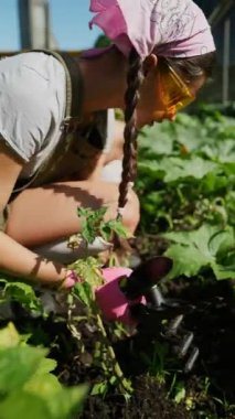 Lastik eldiven takan, bitki yatağının yanında oturan ve bahçesine bitki eken genç kadın çiftçiyi yakından çek..