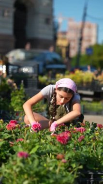 Çiftçi pazarındaki genç kadın çiftçi ürünü satmaya hazırlanıyor. Yüksek kalite 4k görüntü